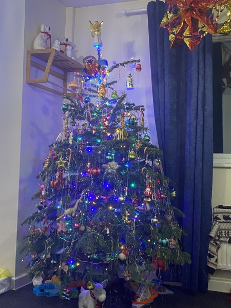 Coloured Christmas tree lights