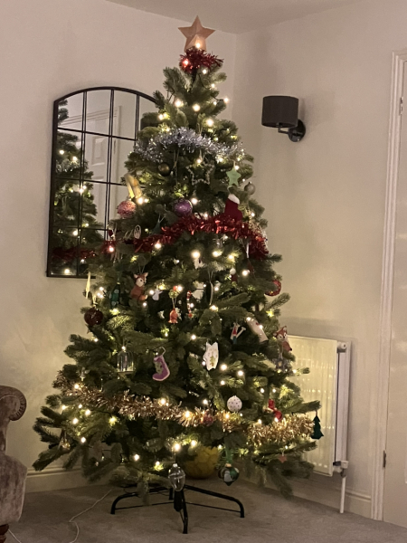 Can I see your Christmas tree?