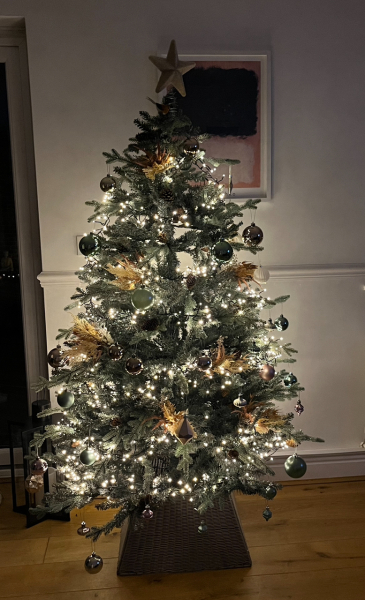 Can I see your Christmas tree?