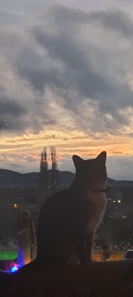 Stage IV cancer? Incurable? Roll up, roll up, this thread is for you!