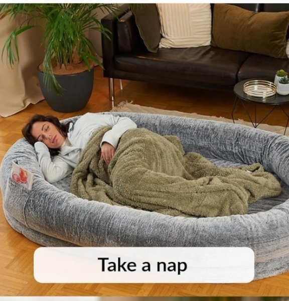 To leave daughter sleeping in “human Dog bed “