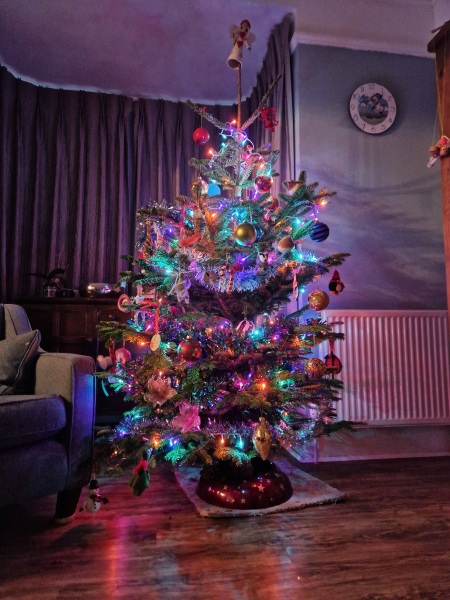 Can I see your Christmas tree?