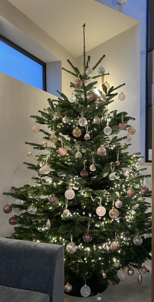 Can I see your Christmas tree?