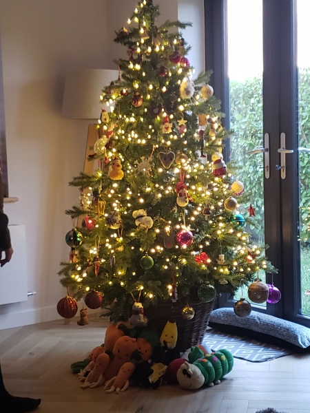 Can I see your Christmas tree?