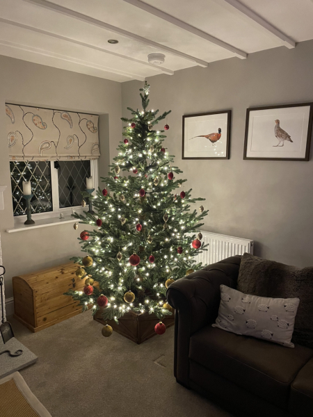 Can I see your Christmas tree?