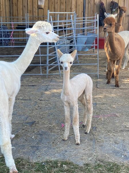 Cancer support thread 91 - don’t borrow tomorrow’s worries