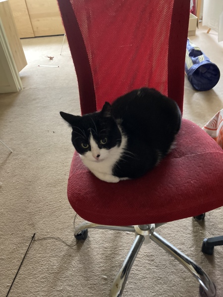 Let's see your best "Loaf of Doom" pics!