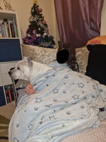 What cute thing has your dog done today?