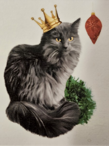 Christmas with the Excellent Cats