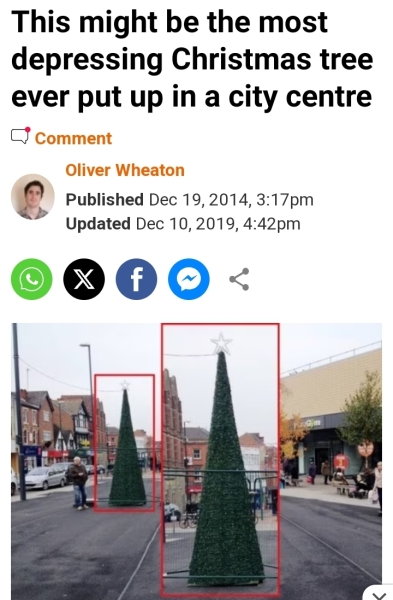 Is this the most rubbish tree you’ve seen in a town?
