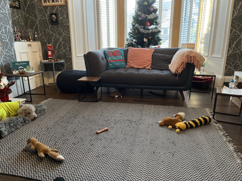 To ask you to show me your normal home…