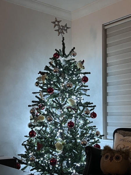 Can I see your Christmas tree?