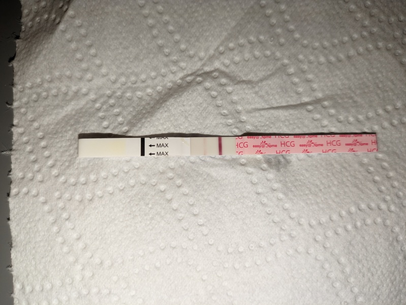 Got bfp but then bfn is there still hope?