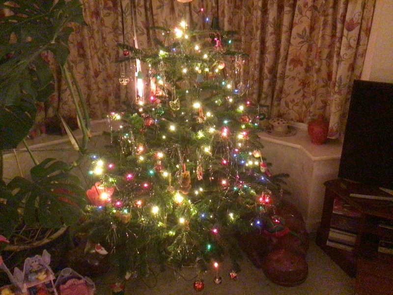 Can I see your Christmas tree?
