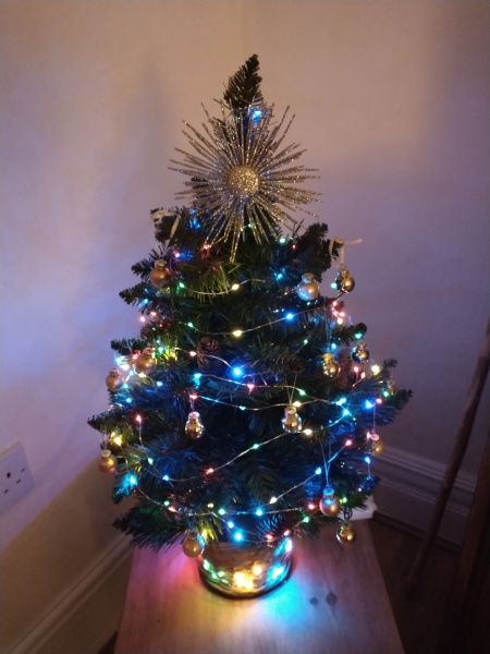 The ultimate SHOW US YOUR TREE megathread!