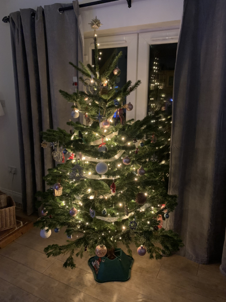 Can I see your Christmas tree?