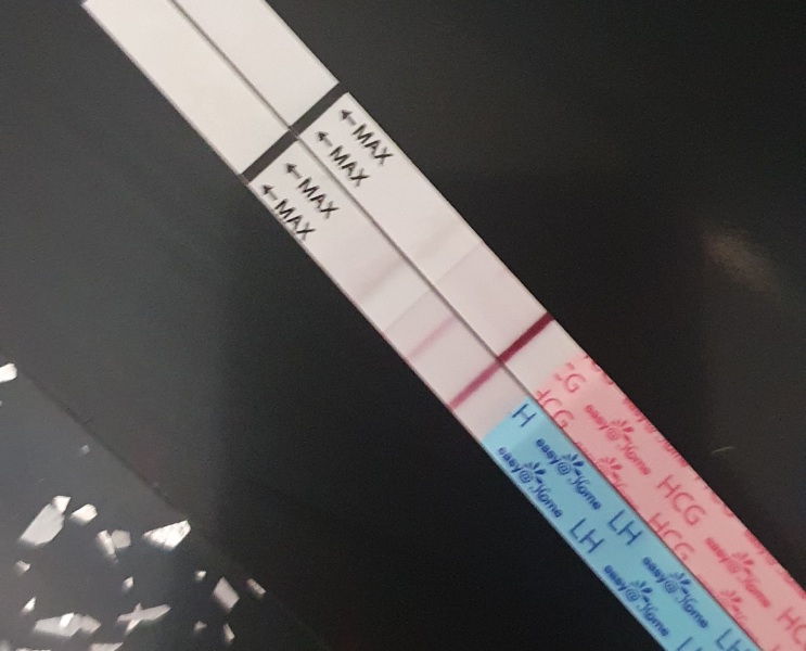 16 DPO, high temp, AF due tomorrow 