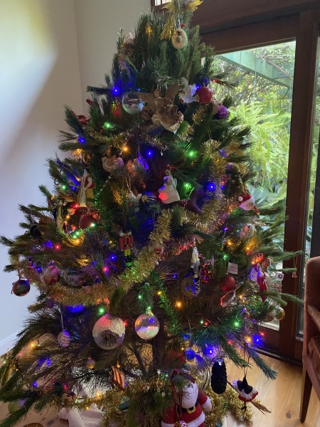 Coloured Christmas tree lights