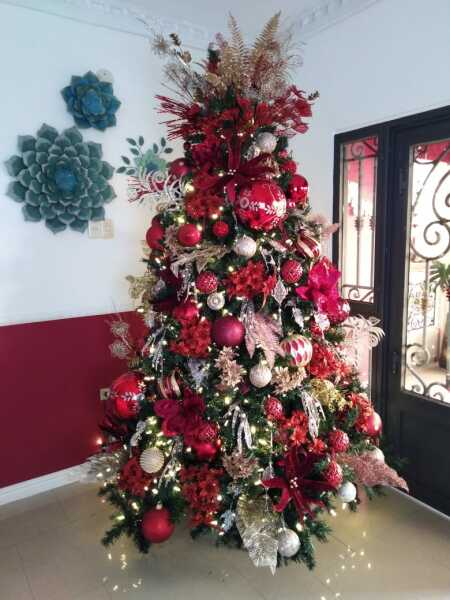 Can I see your Christmas tree?