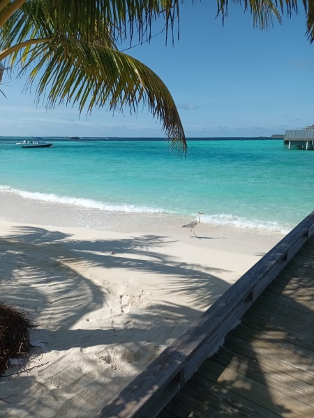 Cancel Maldives and go where?