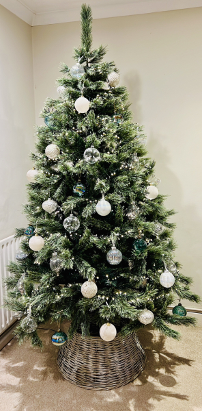 Can I see your Christmas tree?