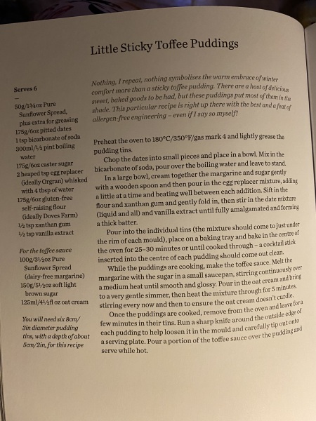 Vegan/dairy free Christmas dessert