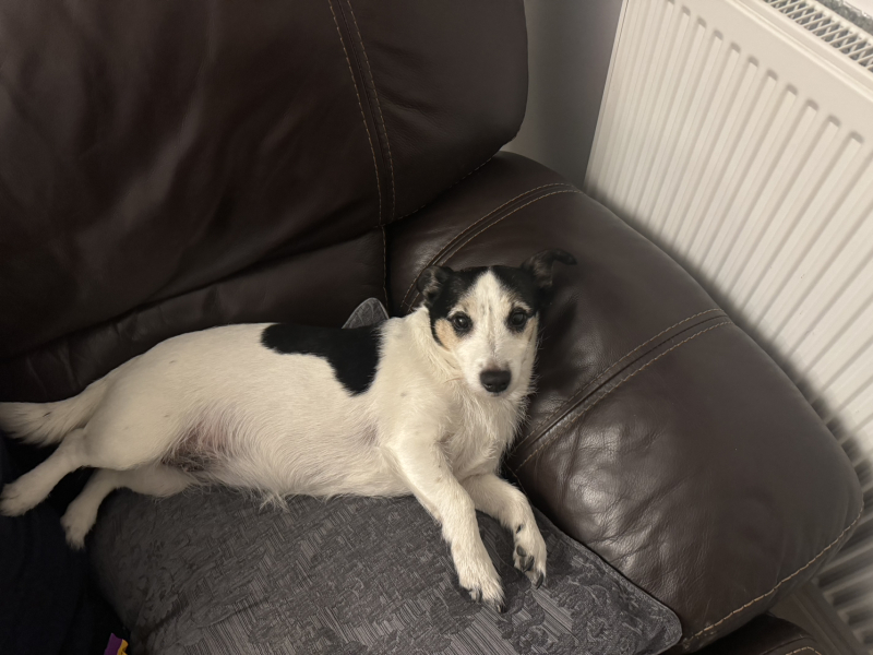 Thread 49 - Covid GCSE Cohort - The nights are drawing in...