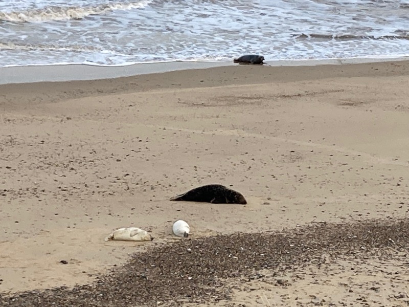 Come and tell me your dull and unexciting news 28: Calmly through the day