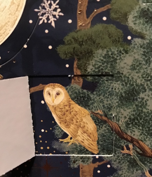 Picture advent calendars that add to the scene rather than have random pictures behind the doors