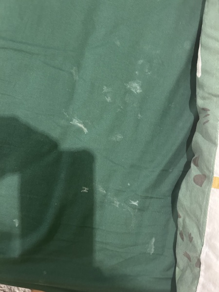 Not really an AIBU but what are these marks on my 5 year old’s bed sheet *pic included*