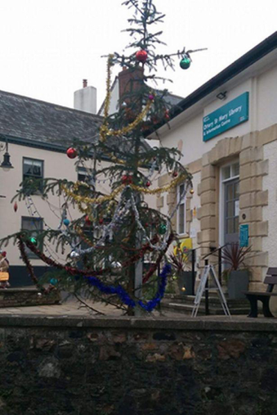 Is this the most rubbish tree you’ve seen in a town?