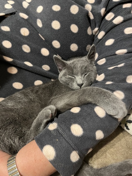 Need a handhold please