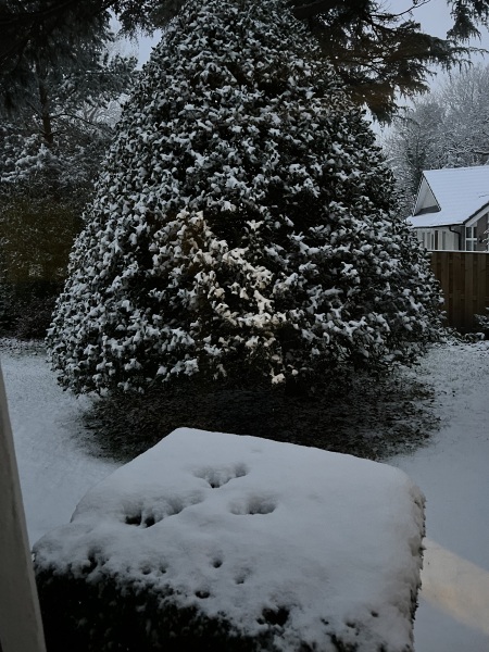 WAGdown Abbey Word Association Game