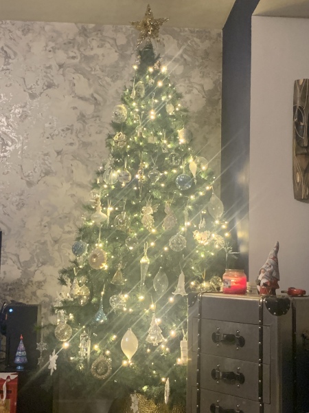 The ultimate SHOW US YOUR TREE megathread!