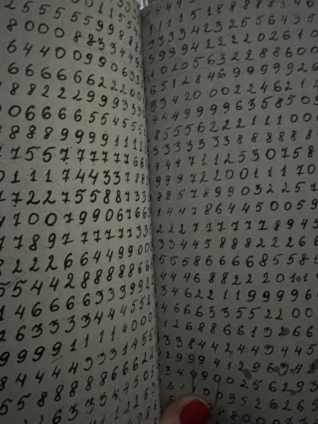 Is anyone doing this Escape Room Advent calendar?