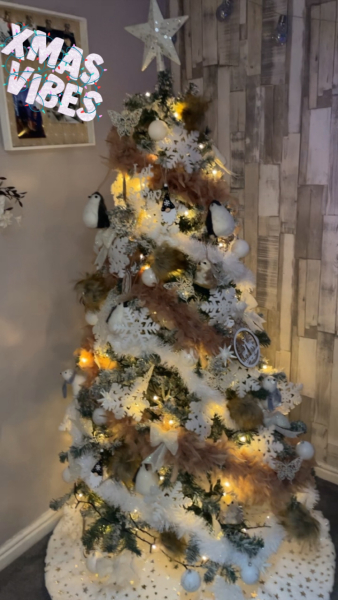 Can I see your Christmas tree?