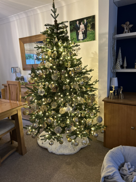 Can I see your Christmas tree?