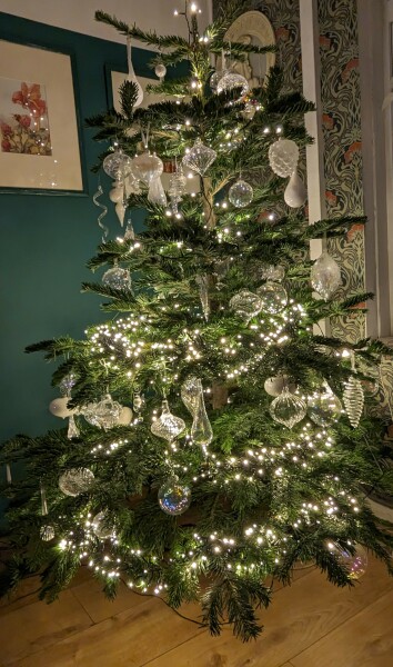 Can I see your Christmas tree?