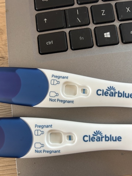 Create Fertility - Experiences (Part 2)