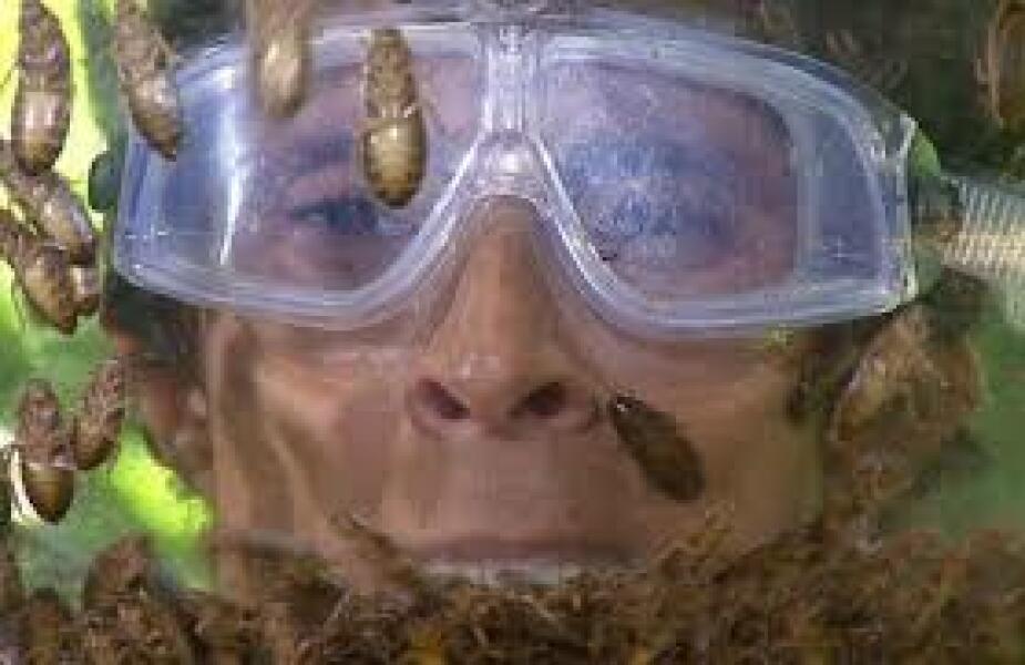 I'm A Celebrity 2023 Thread #5