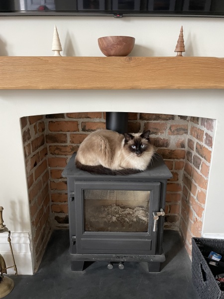 Stage IV cancer? Incurable? Roll up, roll up, this thread is for you!