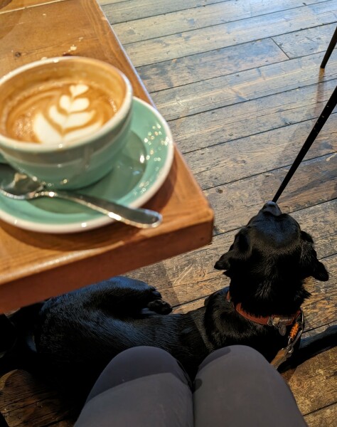 Puppy Survival Thread - for old and new pups heading into winter