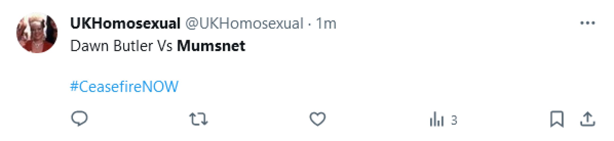 Aibu to point out that 'Mumsnet' is currently trending on Twitter/X because a labour MP has (rather comically) reported it to the police?