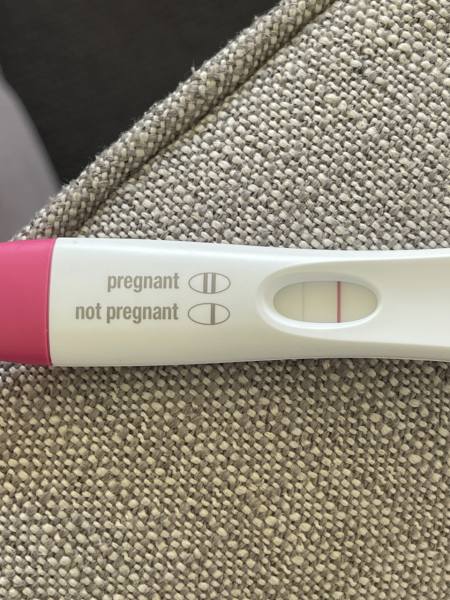 CD1 - December conception!