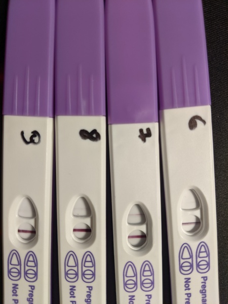 Superdrug pregnancy test - is this a reliable BFP (pic attached)