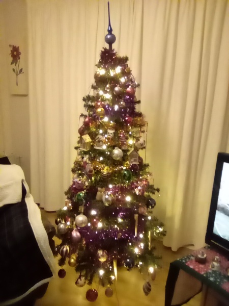 Coloured Christmas tree lights