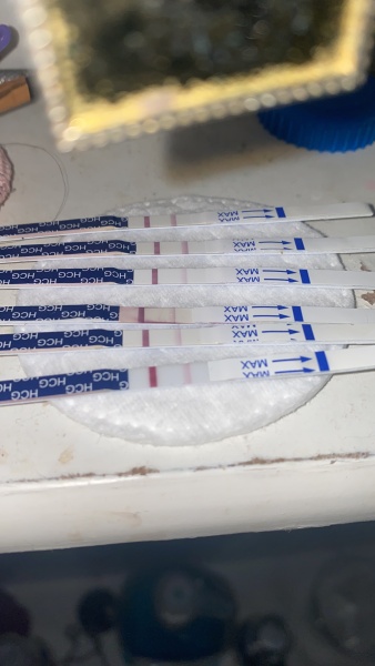 Please help.. 6 weeks pregnant but clearblue digi says 1-2