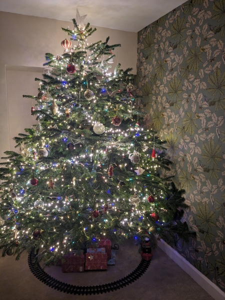 Can I see your Christmas tree?