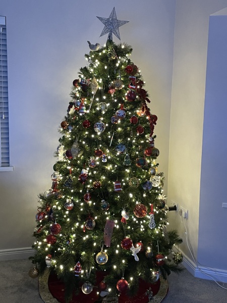 Can I see your Christmas tree?