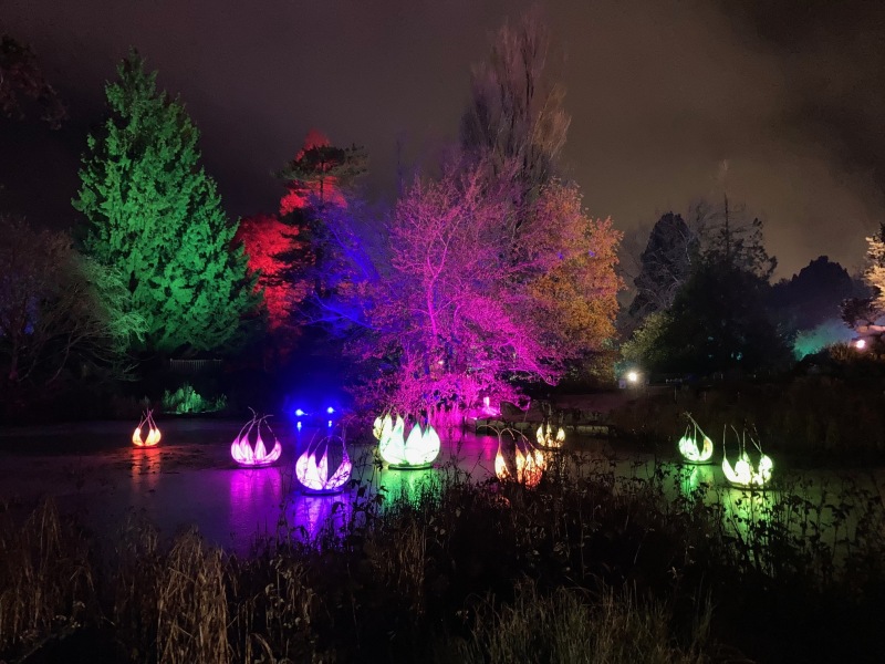 The Great Recovery! After cancer what next?